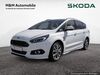 Ford S-Max bueddenstedt