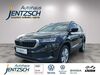 Skoda Karoq schoena-kolpien