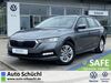 Skoda Octavia geisenfeld