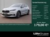 Skoda Fabia walhausen