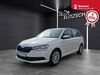 Skoda Fabia grossroehrsdorf