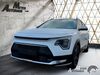 Kia Niro hottelstedt