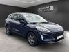 Ford Kuga dankmarshausen