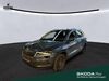Skoda Karoq bueddenstedt