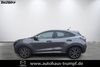 Ford Puma harzungen