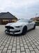 Ford Mustang kreis|suedliche-weinstrasse
