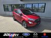 Ford EcoSport bueddenstedt
