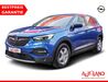 Opel Grandland (X) hornburg
