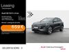 Audi Q6 e-tron woelferbuett