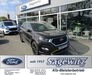Ford Edge wattmannshagen