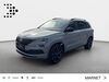 Skoda Karoq stadecken-elsheim