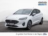 Ford Fiesta Büddenstedt