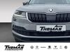 Skoda Karoq meinborn