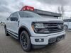 Ford F 150 geisenfeld