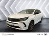 Opel Grandland (X) dorn-duerkheim