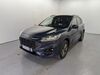 Ford Kuga birkweiler