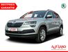 Skoda Karoq bueddenstedt
