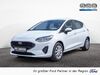 Ford Fiesta Büddenstedt