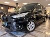 Ford Grand Tourneo rabenau