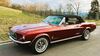 Ford Mustang fuerfeld