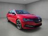 Skoda Superb Laucha an der Unstrut