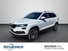 Skoda Karoq stadecken-elsheim