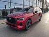 Mazda CX-80 kreis|rottal-inn