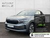 Skoda Kodiaq Wiersdorf
