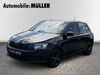 Skoda Fabia schmerkendorf