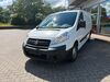 Fiat Scudo suedergellersen