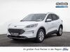 Ford Kuga bueddenstedt