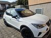 Seat Arona saarmund