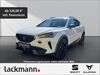 Cupra Formentor remscheid