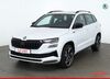 Skoda Karoq schoenburg
