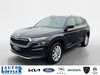 Skoda Kodiaq dankmarshausen