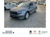 Skoda Enyaq kuehren-burkartshain