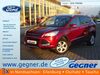 Ford Kuga saalow