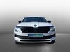 Skoda Karoq ober-hilbersheim