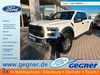 Ford F 150 Löhma