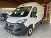 Fiat Ducato engerda