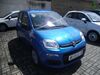 Fiat Panda Deutschland