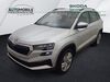Skoda Karoq schenkenzell