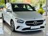 Mercedes-Benz B 220 trechtingshausen