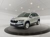 Skoda Karoq schoenburg