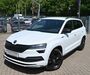 Skoda Karoq Röhrig
