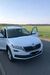 Skoda Kodiaq bueddenstedt