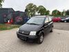 Fiat Panda suedergellersen