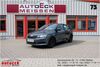 Skoda Fabia schoena-kolpien