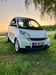 Smart ForTwo schoental