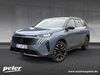 Peugeot 5008 harzungen